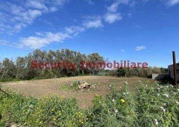 Rustic Sciacca - photo 5