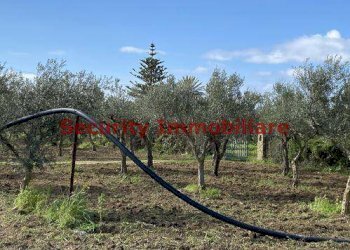 Rustic Sciacca - photo 6