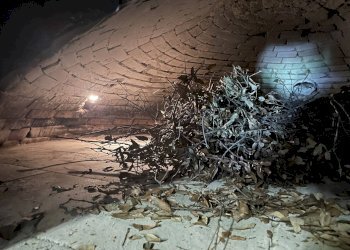 Negozio Scheggino-Ceselli, Scheggino - foto 17