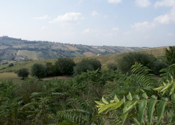 Rustic Contrada Solagna Ragnola, Monteprandone - photo 2