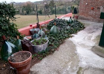 17a.jpg - Portion of a house SP301 54, Castiglione del Lago - photo 16