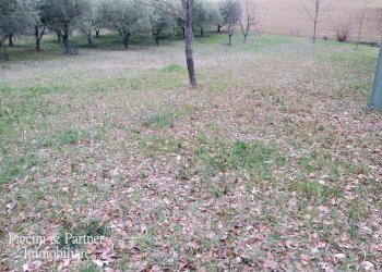 26a.jpg - Portion of a house SP301 54, Castiglione del Lago - photo 25