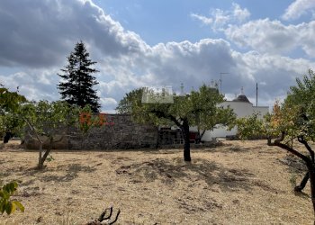 Foto 25-08-21, 11 09 50.jpg - Baita Strada Provinciale 62 139, Martina Franca - photo 18
