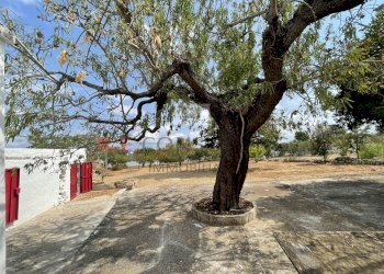 Foto 25-08-21, 11 22 06.jpg - Baita Strada Provinciale 62 139, Martina Franca - photo 19