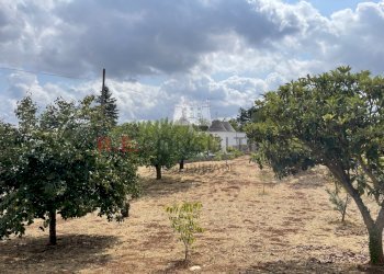 Foto 25-08-21, 11 09 15.jpg - Baita Strada Provinciale 62 139, Martina Franca - photo 21