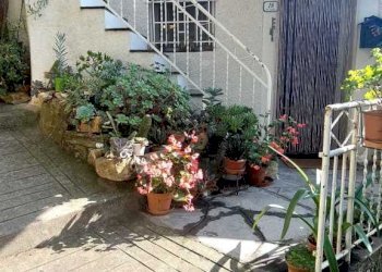 esterno - Independent house Via Borgata Canneto Soprano, Prelà - photo 14