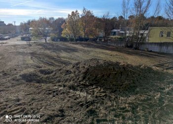 IMG-20220119-WA0113.jpg - Terreno edificabile viale g. matteotti, Avigliano Umbro - foto 5