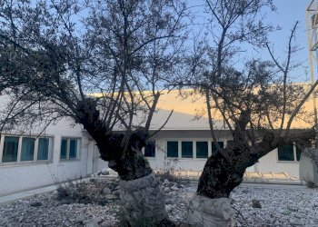 IMG_7849.JPG - Ufficio Via magistrini 3, Castel Maggiore - foto 22