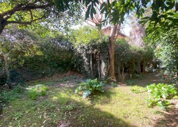 IMG_1096.jpg - Casa indipendente Via Aurelia, Rosignano Marittimo - foto 1