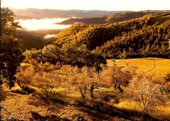 04.jpg - Casale SP252 59, Perugia - foto 5