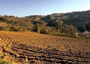 29.jpg - Casale SP252 59, Perugia - foto 30