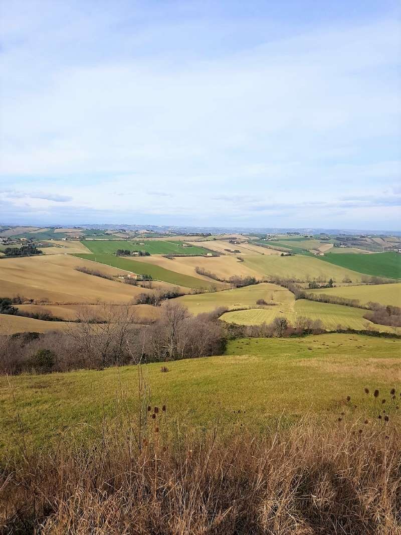 whatsapp image 2022-02-19 at 11.19.02 - Building land Polverigi - photo 1