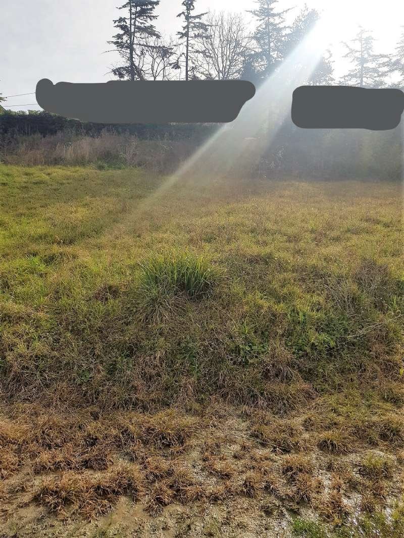 inkedwhatsapp image 2022-02-19 at 11.19.02 (1)_li - Building land Polverigi - photo 2