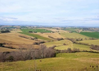 whatsapp image 2022-02-19 at 11.19.02 - Building land Polverigi - photo 1