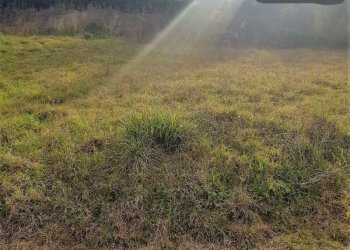 inkedwhatsapp image 2022-02-19 at 11.19.02 (1)_li - Building land Polverigi - photo 2