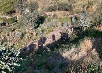 20211123_094329.jpg - Casa indipendente Via alla Costa 20, Celle Ligure - foto 23