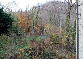 IMG-20210326-WA0033.jpg - Appartamento Piazza San Pietro 3, Urbe - foto 13