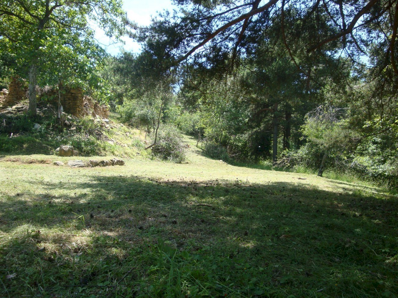 prato1ok.jpg - Terreno edificabile loc. Palo - Patare 1, Sassello - foto 3