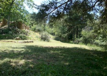 prato1ok.jpg - Terreno edificabile loc. Palo - Patare 1, Sassello - foto 3