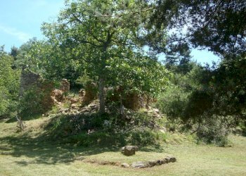 rustico e noce.jpg - Terreno edificabile loc. Palo - Patare 1, Sassello - foto 11