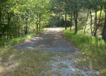 strada arrivo.JPG - Terreno edificabile loc. Palo - Patare 1, Sassello - foto 12