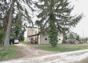 Rustico Faenza - foto 2