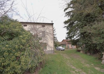 Rustico Faenza - foto 5