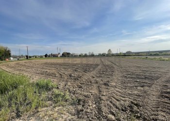 TERRENO AGRICOLO - Terreno agricolo Via Barcarola 31, Cadoneghe - foto 4