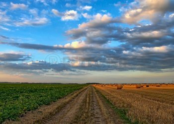 FOTO TIPO TERRENO AGRICOLO - Terreno agricolo Via Barcarola 31, Cadoneghe - foto 8