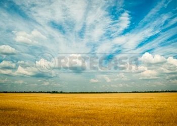 FOTO TIPO TERRENO AGRICOLO - Terreno agricolo Via Barcarola 31, Cadoneghe - foto 11