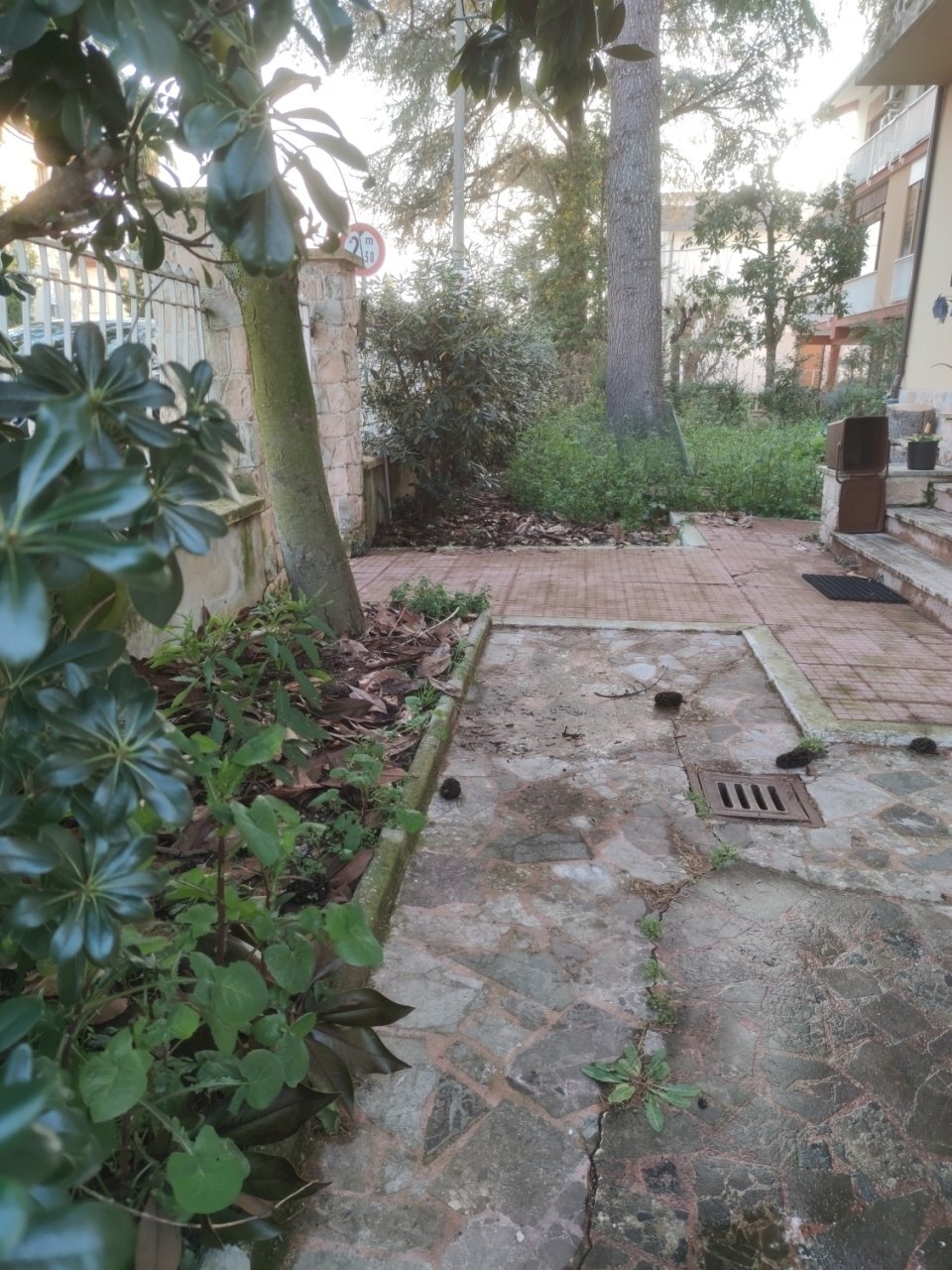 1646670348915 (002).jpg - Appartamento Via Cupramontana 16, Jesi - foto 1