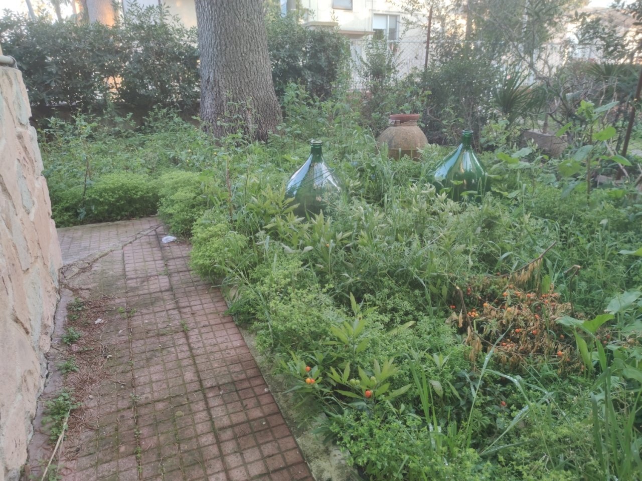 1646670348969.jpg - Appartamento Via Cupramontana 16, Jesi - foto 2