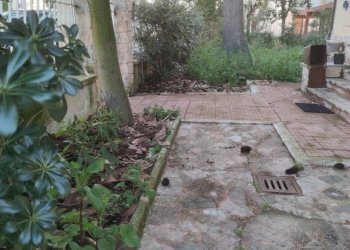 1646670348915 (002).jpg - Appartamento Via Cupramontana 16, Jesi - foto 1