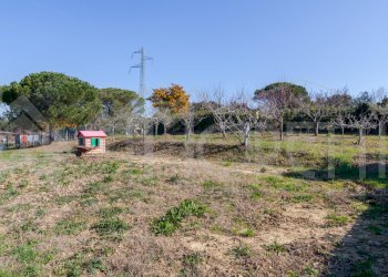 terreno cisternino - Agricultural land Via delle Sorgenti, Livorno - photo 6