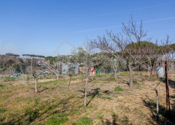 terreno cisternino - Agricultural land Via delle Sorgenti, Livorno - photo 8