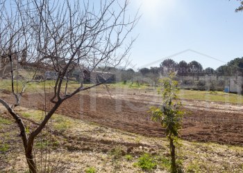 terreno cisternino - Agricultural land Via delle Sorgenti, Livorno - photo 10