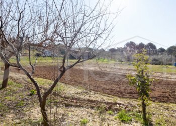 terreno cisternino - Agricultural land Via delle Sorgenti, Livorno - photo 11