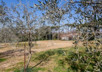 terreno cisternino - Agricultural land Via delle Sorgenti, Livorno - photo 15