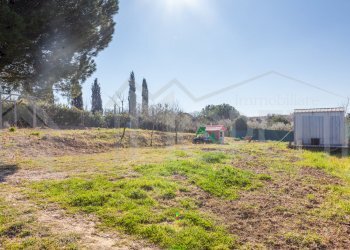 terreno cisternino - Agricultural land Via delle Sorgenti, Livorno - photo 19
