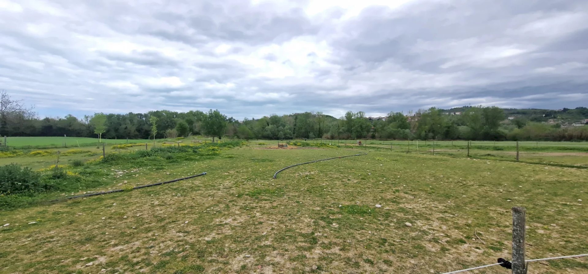Terreno agricolo Via Le Piane, Collecorvino - foto 2