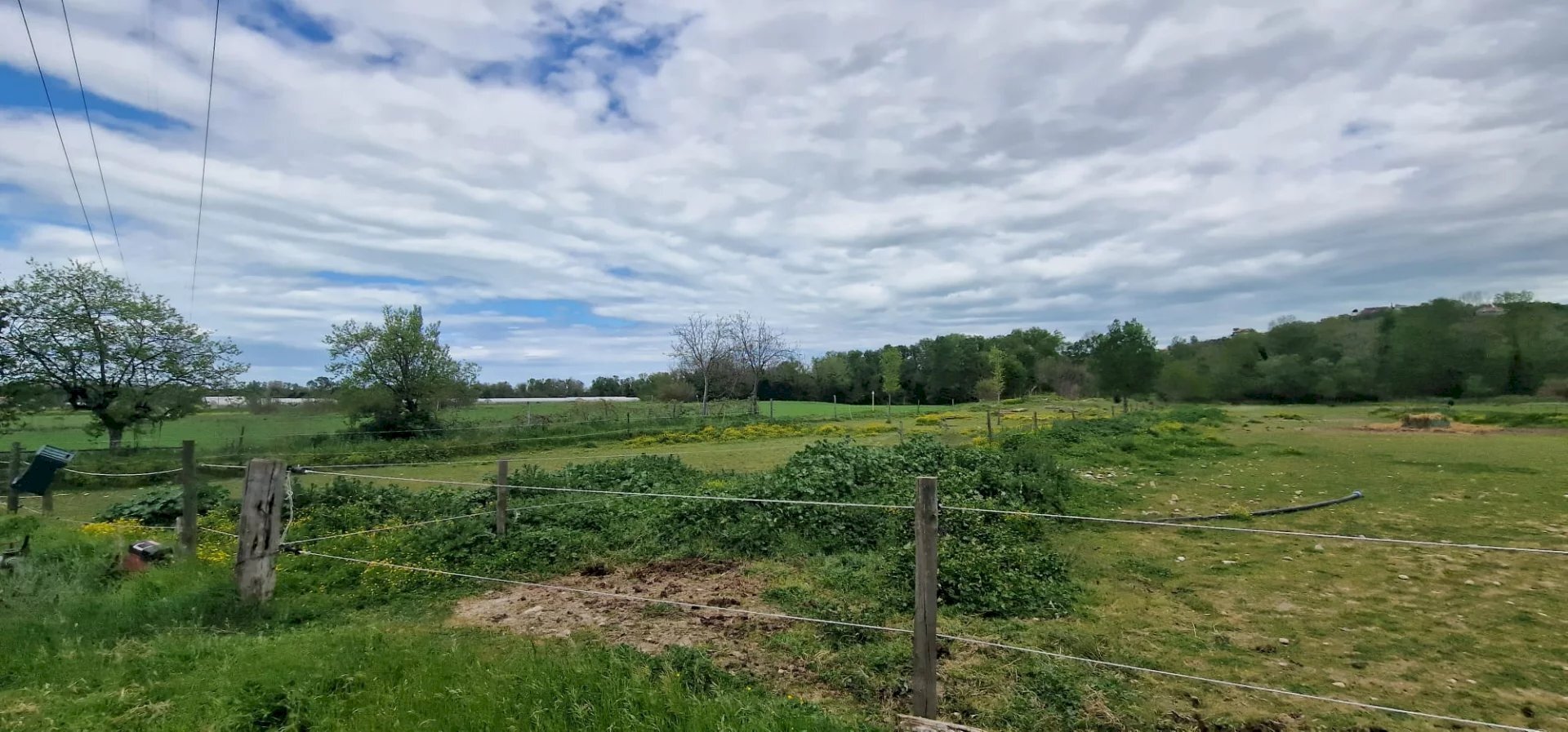 Terreno agricolo Via Le Piane, Collecorvino - foto 3