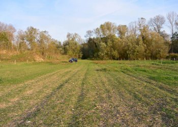 Terreno agricolo Via Le Piane, Collecorvino - foto 8