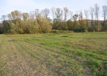 Terreno agricolo Via Le Piane, Collecorvino - foto 9