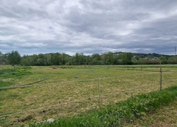 Terreno agricolo Via Le Piane, Collecorvino - foto 1