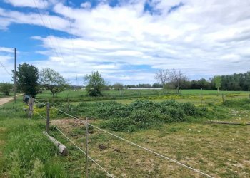 Terreno agricolo Via Le Piane, Collecorvino - foto 4