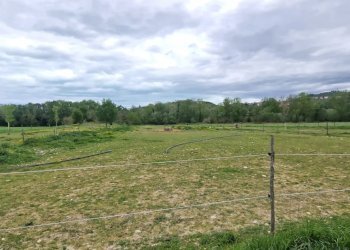 Terreno agricolo Via Le Piane, Collecorvino - foto 6