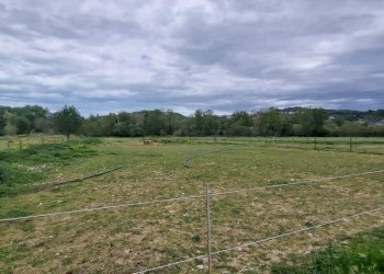 Terreno agricolo Via Le Piane, Collecorvino - foto 7