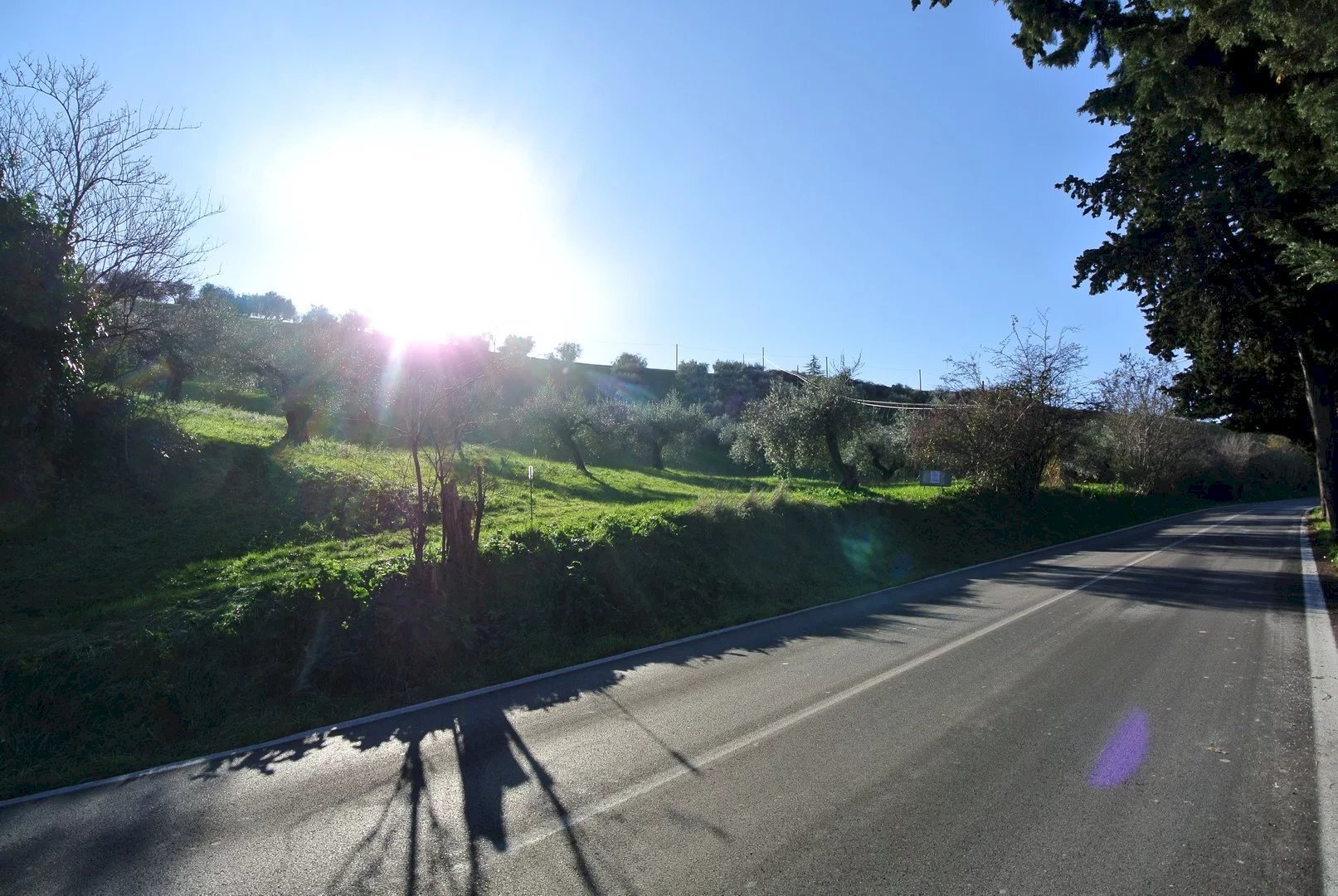 Terreno agricolo CONTRADA TARALLO, Loreto Aprutino - foto 2