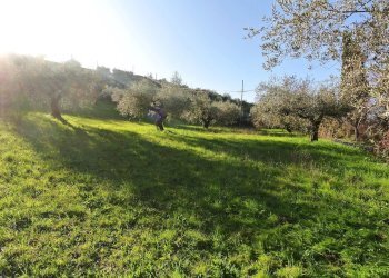 Terreno agricolo CONTRADA TARALLO, Loreto Aprutino - foto 1
