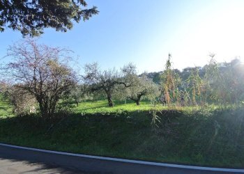 Terreno agricolo CONTRADA TARALLO, Loreto Aprutino - foto 3